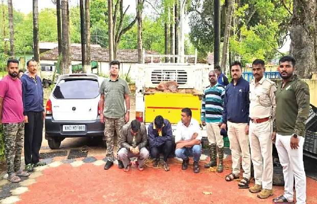 Illegal Precious Stone Smuggling Busted in Kushalnagar - News Karnataka