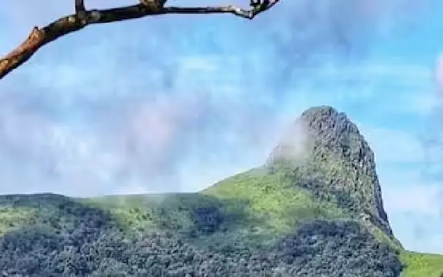 Karnataka Forest Department Imposes Restrictions on Ettina Bhuja Tourism - News Karnataka