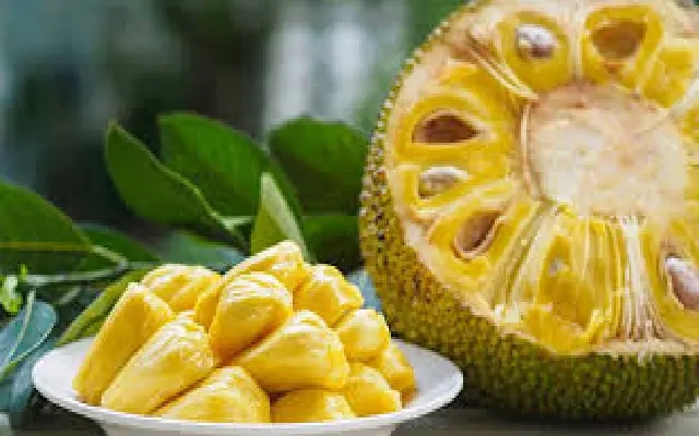 Mangaluru Events: Jackfruit and Mango Mela, Polytechnic Induction, and More - News Karnataka