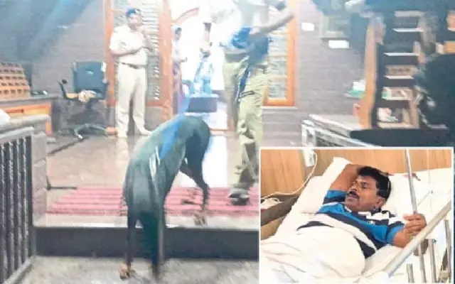 Mangaluru Man Fights Off Dacoits for Half an Hour During Home Looting - News Karnataka