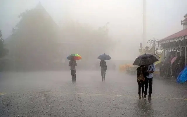 Maximum Rainfall Recorded in Talapady and Kinya; IMD Issues Warnings - News Karnataka