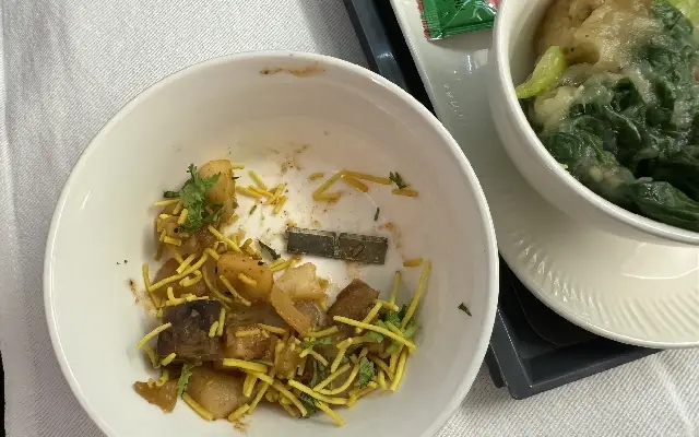 Metal Blade Found in Air India In-Flight Food, Passenger Raises Alarm - News Karnataka
