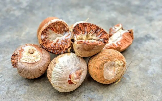 Moodupadukodi Residents Protest Against Areca Nut Factory Operations - News Karnataka