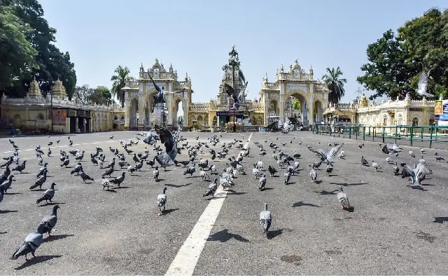 Mysuru Palace Heritage Concerns: Pigeon Feeding Issue Addressed - News Karnataka