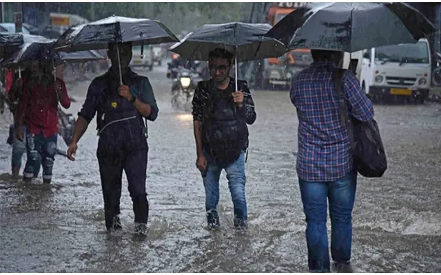 NDRF Deployed in Kodagu for Heavy Rain Precautions - News Karnataka