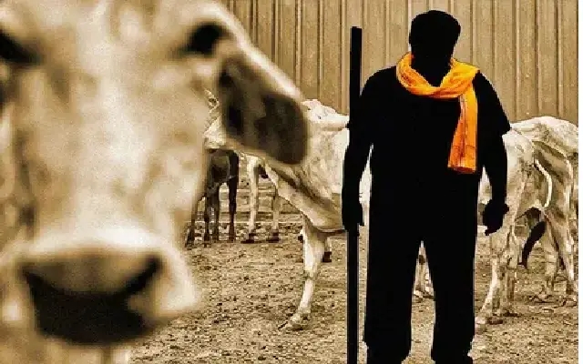 Namo Balaga Seeks Action Against Rising Cow Theft Menace in Byndoor - News Karnataka
