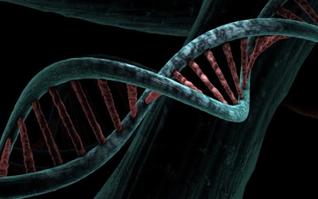 Ancient DNA in Human Genome Linked to Major Psychiatric Disorders - News Karnataka