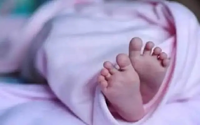 Newborn Baby's Body Found Behind Hospital in Vijayapura - News Karnataka
