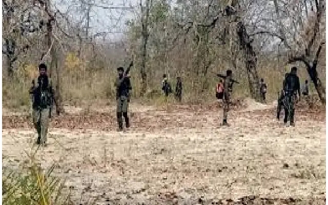 Nine Naxalites Arrested in Major Operation in Chhattisgarh's Bijapur - News Karnataka