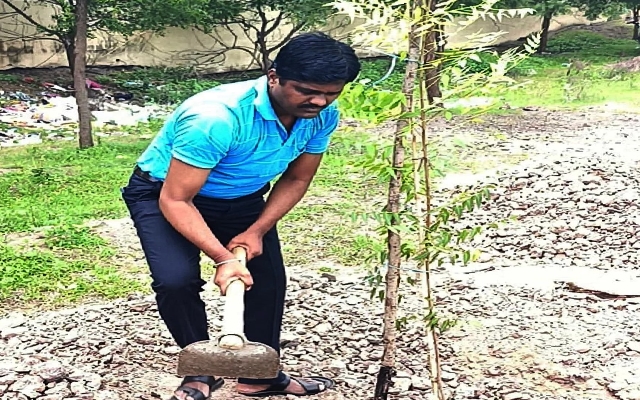 Tahsildar Pradip Kumar Hiremath Plants 100 Saplings - News Karnataka