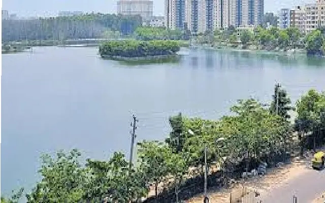 Rejuvenating Bengaluru: Environmentalist's Mission to Revive the Lakes - News Karnataka