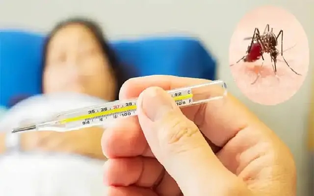 Rising Dengue Cases in Mysuru: A Public Health Concern - News Karnataka