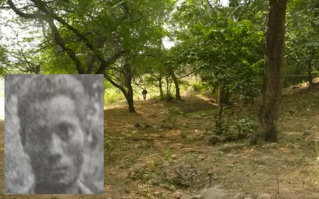 Speech-Impaired Youth Spotted Wandering Forest Paths in Sullia - News Karnataka