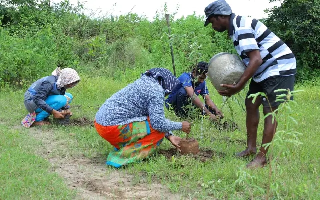 Drought-Resistant Trees Aid Land Restoration in Khammam and Mewar - News Karnataka