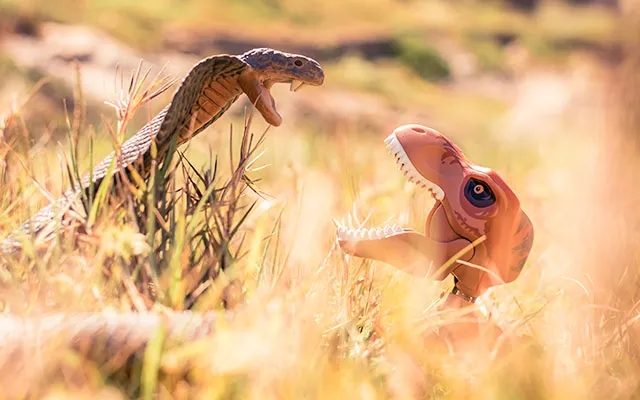 The Hunt for a Universal Snakebite Antivenom – Podcast - News Karnataka