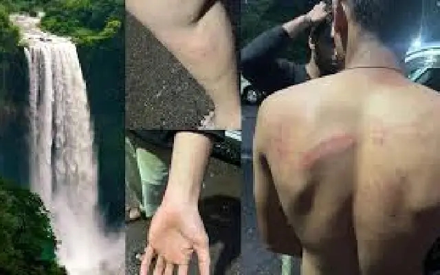 Tourists Accuse Goa Forest Officials of Assault and Extortion - News Karnataka