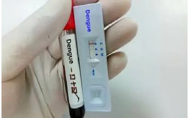 Tragic Dengue Death of Four-Year-Old Girl in Dharwad - News Karnataka