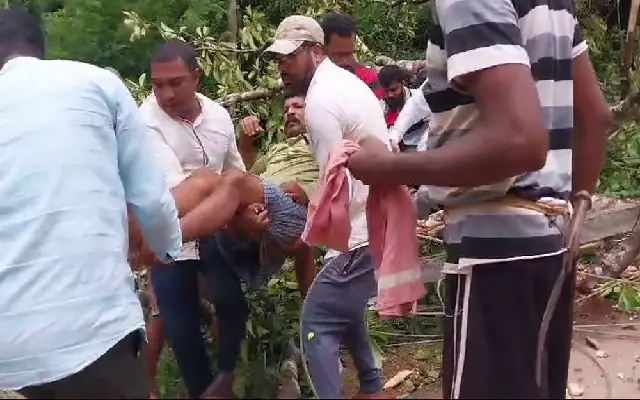 Tree Accident in Honnavar: Bike Rider Injured, Wife Escapes Unhurt - News Karnataka