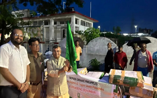 From Tripura To Oman, 600 kg Order Of "Queen" Pineapples. More In Queue - News Karnataka