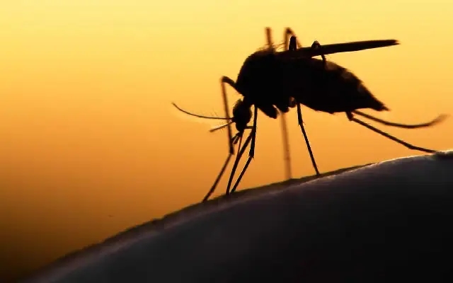 Udupi Holds Workshop on Combating Vector-Borne Diseases - News Karnataka