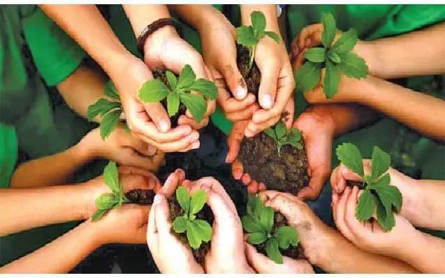 Vana Mahotsava Celebration at St. Cecily’s School, Udupi - News Karnataka