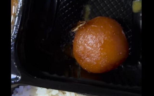 Passenger finds live cockroach in IRCTC food, viral video shocks people - News Karnataka