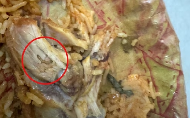 Hyderabad Resident Finds Maggot in Swiggy Biryani, ₹64 Refund Offered - News Karnataka