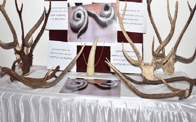 Wildlife Products Return Order Met with Lukewarm Response in Karwar - News Karnataka