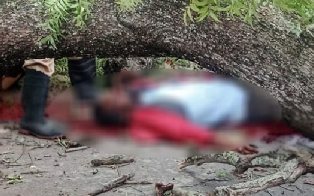 Two Hescom Employees Killed as Tree Falls on Bike in Hirekerur - News Karnataka