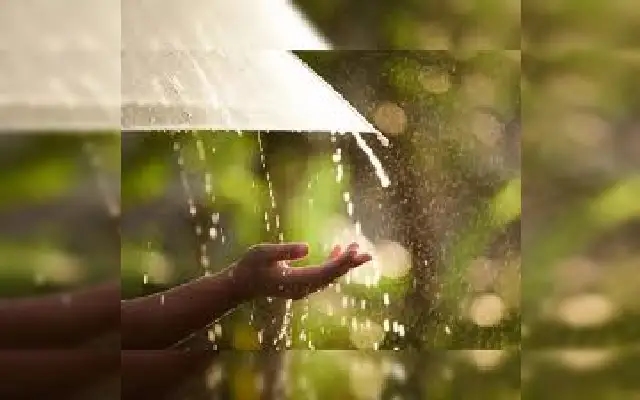 Reduced Rainfall Brings Mixed Relief and Challenges to Twin Districts - News Karnataka