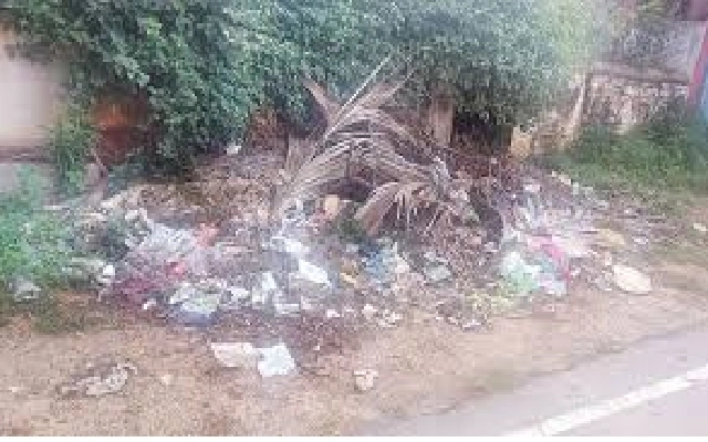 Urgent Appeal for Debris Removal at Pinewood Park Apartments - News Karnataka