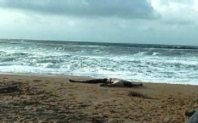Unidentified Body Discovered on Beijadi Beach - News Karnataka
