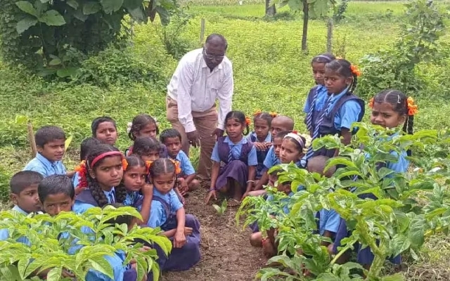 Balehalli’s Green Oasis: A Government School’s Blossoming Garden - News Karnataka