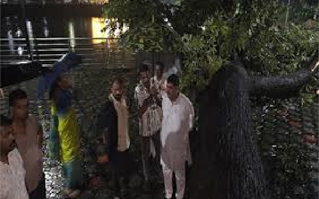 Tree Uprooted by Heavy Rains Near Historic Gujjarakere in Mangaluru - News Karnataka