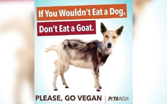 PETA India Targets Speciesism with New Billboard Campaign in Bengaluru - News Karnataka