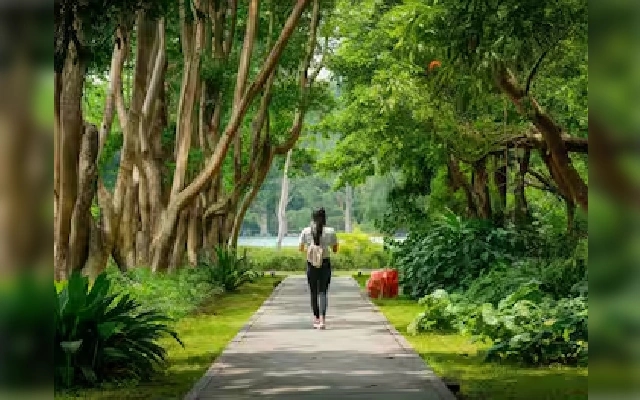 Heritage Walks Promote Conservation Awareness in Coastal Karnataka - News Karnataka