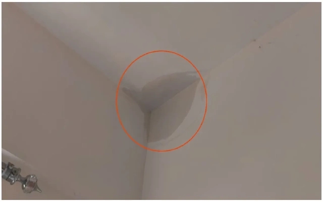 Bengaluru Techie Exposes Water Leak in ₹1.5 Crore Apartment - News Karnataka