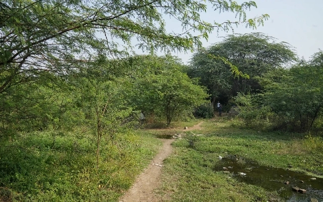 Controversy Over Quarrying in Deemed Forests of Hassan District - News Karnataka
