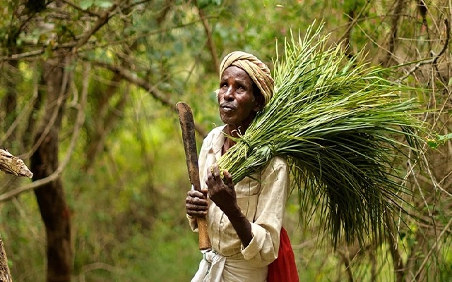 Yerava Tribes Highlight Lack of Facilities on Independence Day - News Karnataka