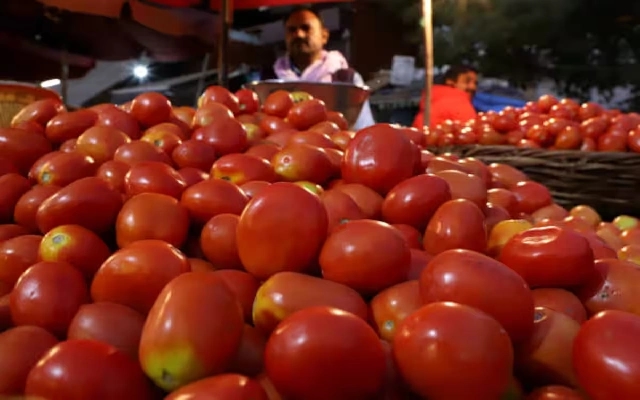 Bengaluru Tomato Prices Plummet Amidst Political Unrest and Weather Challenges - News Karnataka