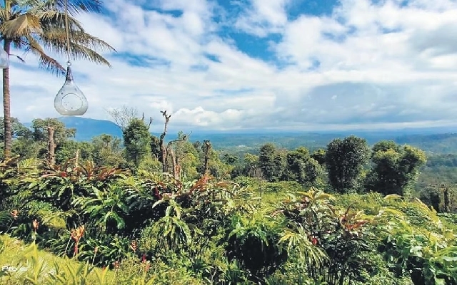 Illegal Resort Construction in Kodagu Raises Concerns Amid Government Crackdown - News Karnataka