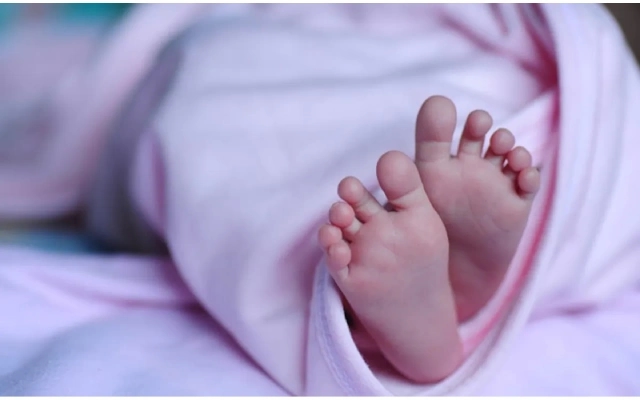 Kankanady Police Rescue Kidnapped Toddler in Swift Two-Hour Operation - News Karnataka