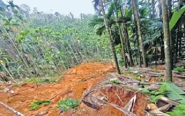 Karnataka Faces Soil Health Crisis: Declining Soil Organic Carbon Threatens Agriculture - News Karnataka