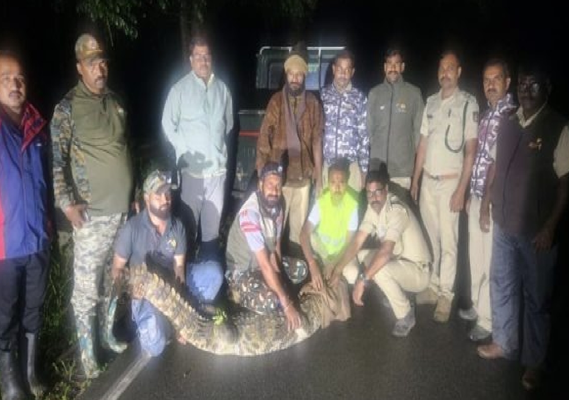Huge Crocodile Rescued from KPC Garage in Dandeli - News Karnataka