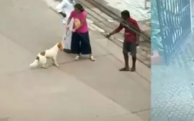 MCC Warns Driver for Transporting Live Dog in Waste Vehicle - News Karnataka