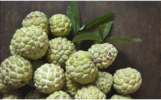 Custard Apples Flood Yadgir Markets as Season Peaks - News Karnataka