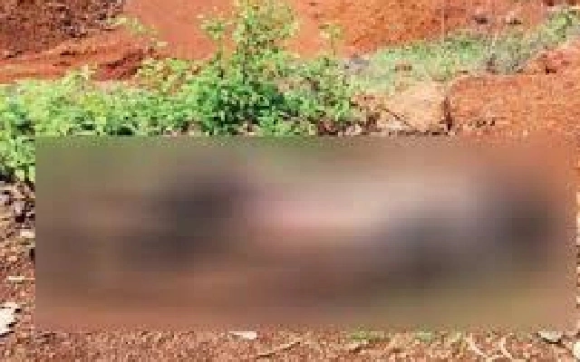 Body Discovered in Bhatkal: Investigation Underway - News Karnataka