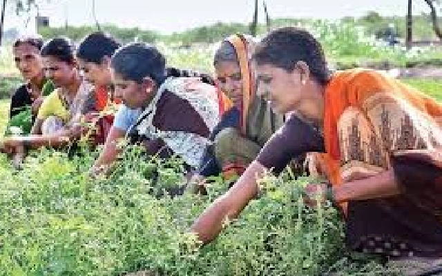 Women in Raichur Turn to Entrepreneurship Amidst Agricultural Downtime - News Karnataka