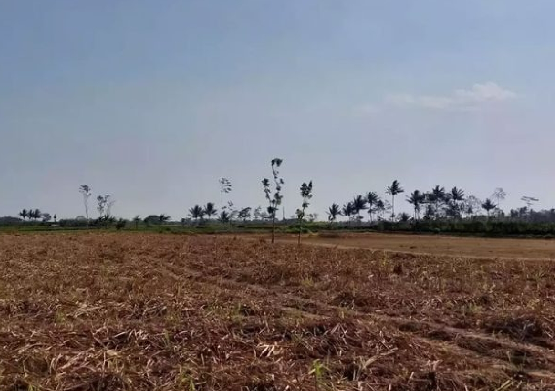 Udupi District Initiates Measures to Protect Government Land - News Karnataka