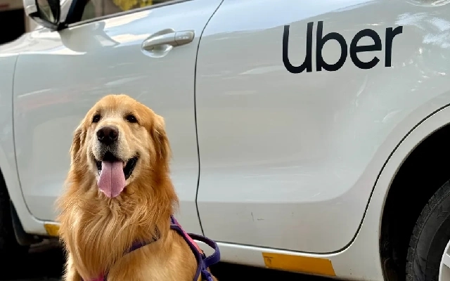 Uber India Launches Uber Pet Service in Bengaluru for Pet Owners - News Karnataka